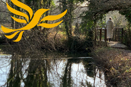 Weekend Reflections - Overgrown Mill Pond Robertsbridge.